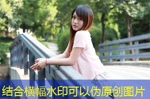 上海的自然灾害管理系统现状分析 上海的自然灾害管理系统现状分析